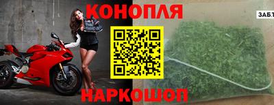 индика Тара