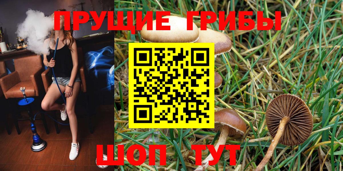 Псилоцибиновые грибы прущие грибы  Вход с VPN  Псилоцибиновые грибы мицелий  Новочеркасск 